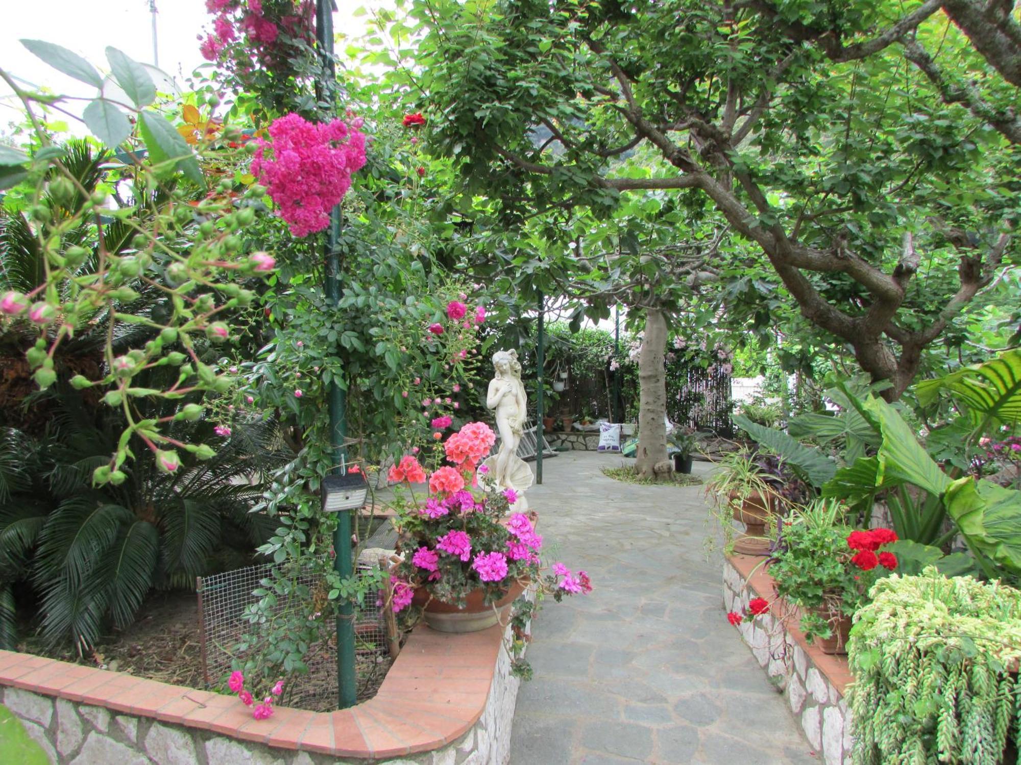 B&B Palazzo A Mare Capri Exterior photo
