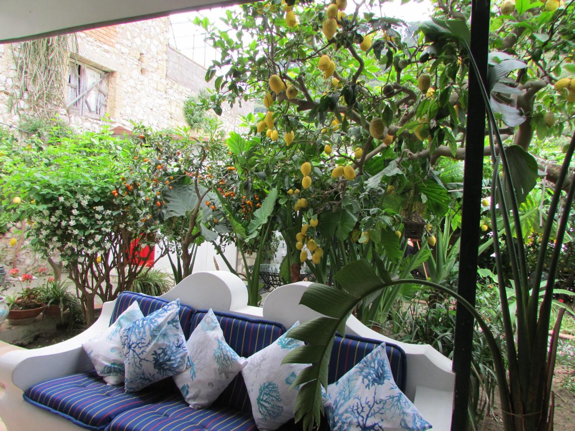 B&B Palazzo A Mare Capri Exterior photo